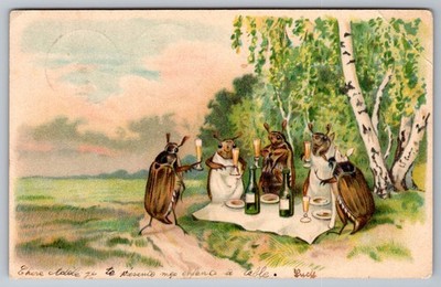 1907 French Postcard Anthropomorphic Beetles Party May Bugs Cockchafers Humor