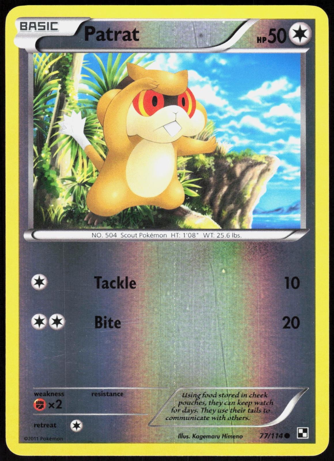 Patrat 77 Black & White - Pokemon NM/M (Common)