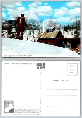 Maple Syrup Season Northern New England Postcard John Hinde Original Bruce Nett