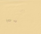 The Twelve Kingdoms Juuni Kokki Genga Douga Original Sketches Pierrot - Yuka — photo 8
