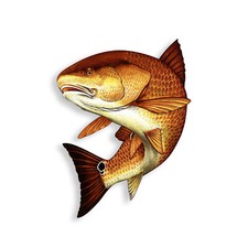 Red Fish Sticker Swim Fishing Boat Tackle Box Cup Laptop Car Window Bumper Decal