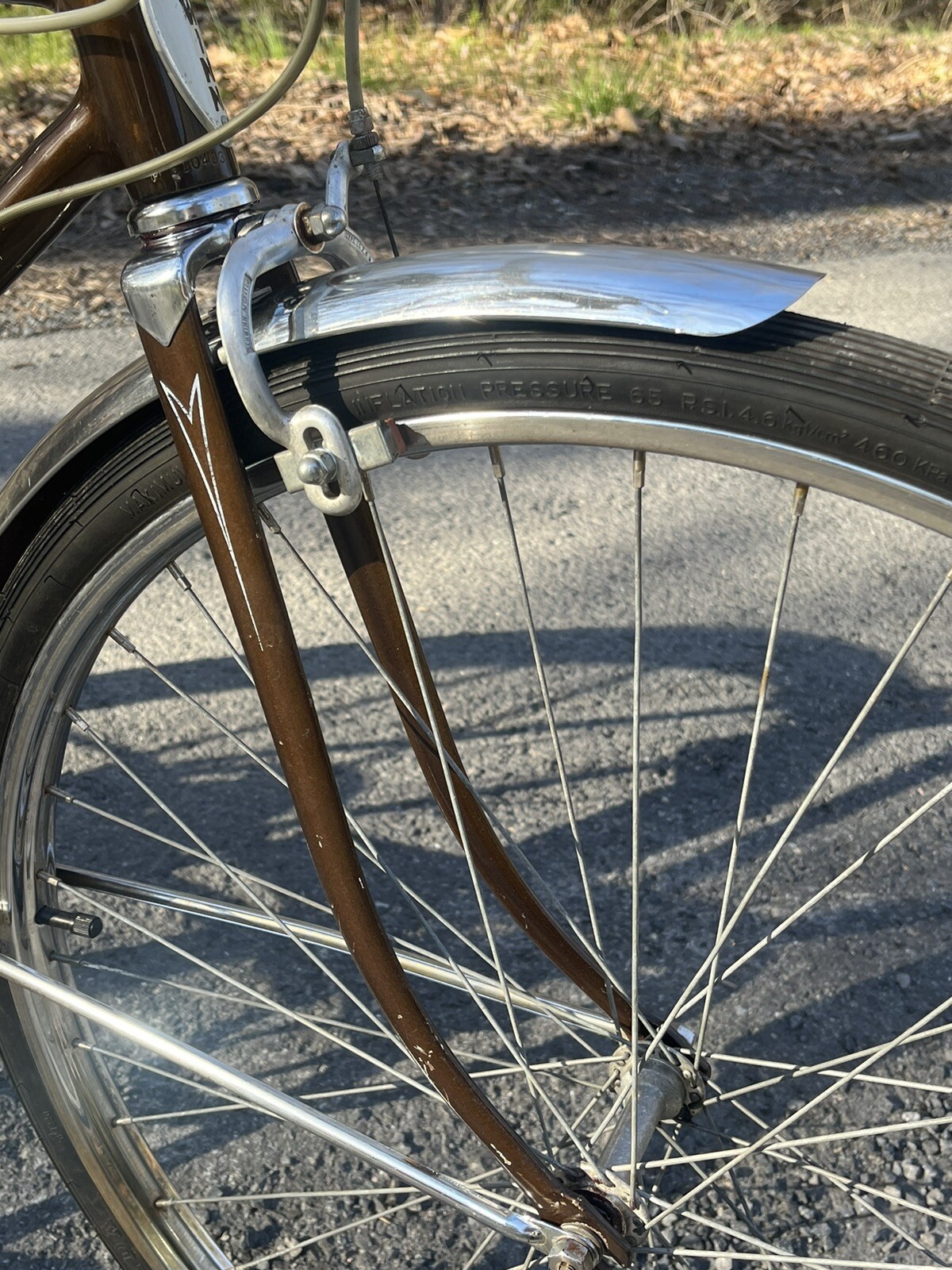 1972 schwinn collegiate