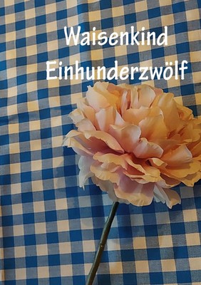 Waisenkind Einhundertzwölf | Christine Stutz | Taschenbuch | 140 S. | Deutsch