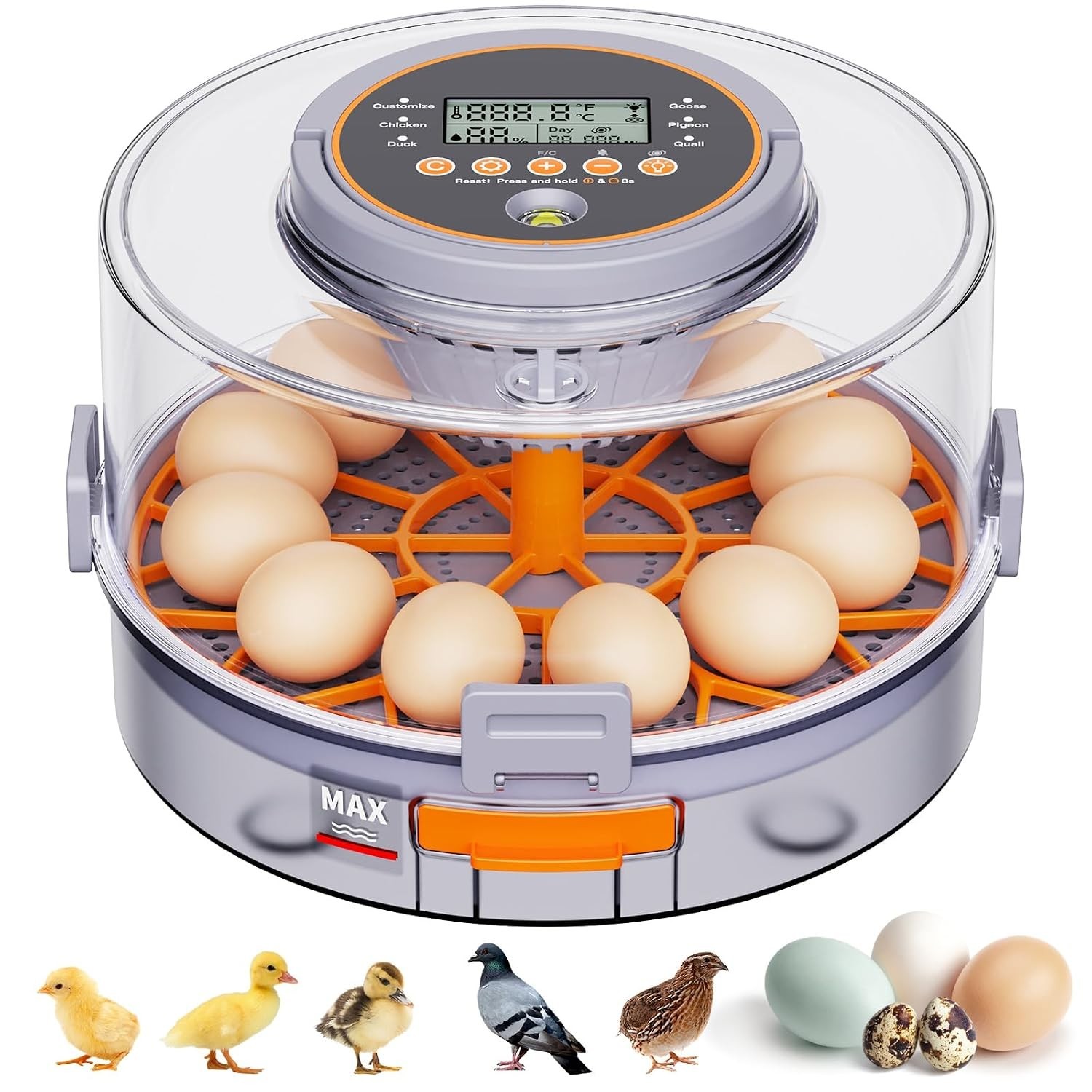 Incubators for Hatching Eggs,12 Egg Incubator with Automatic Turning and Humidit