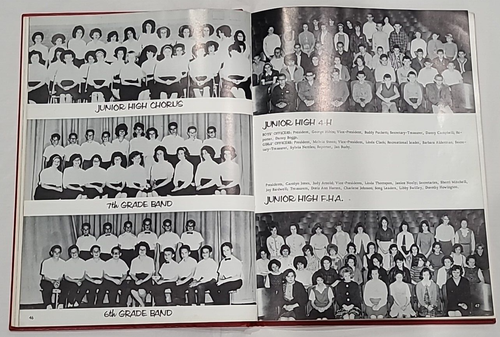 Vintage Brandon Mississippi High School Bulldogs 1964 Yearbook Annual - Picture 7 of 11
