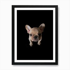 Cucciolo Bulldog Francese. Generato AI.  Quadro con cornice poster arte da parete stampa su tela