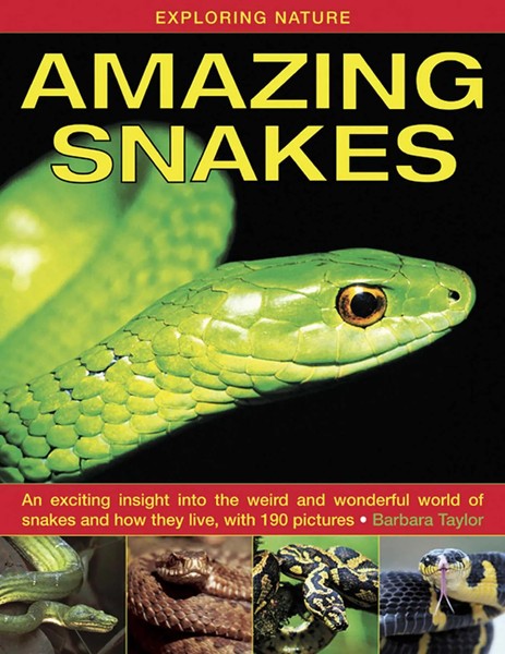 Exploring Nature: Amazing Snakes | Barbara Taylor | Englisch | Buch | Gebunden-image