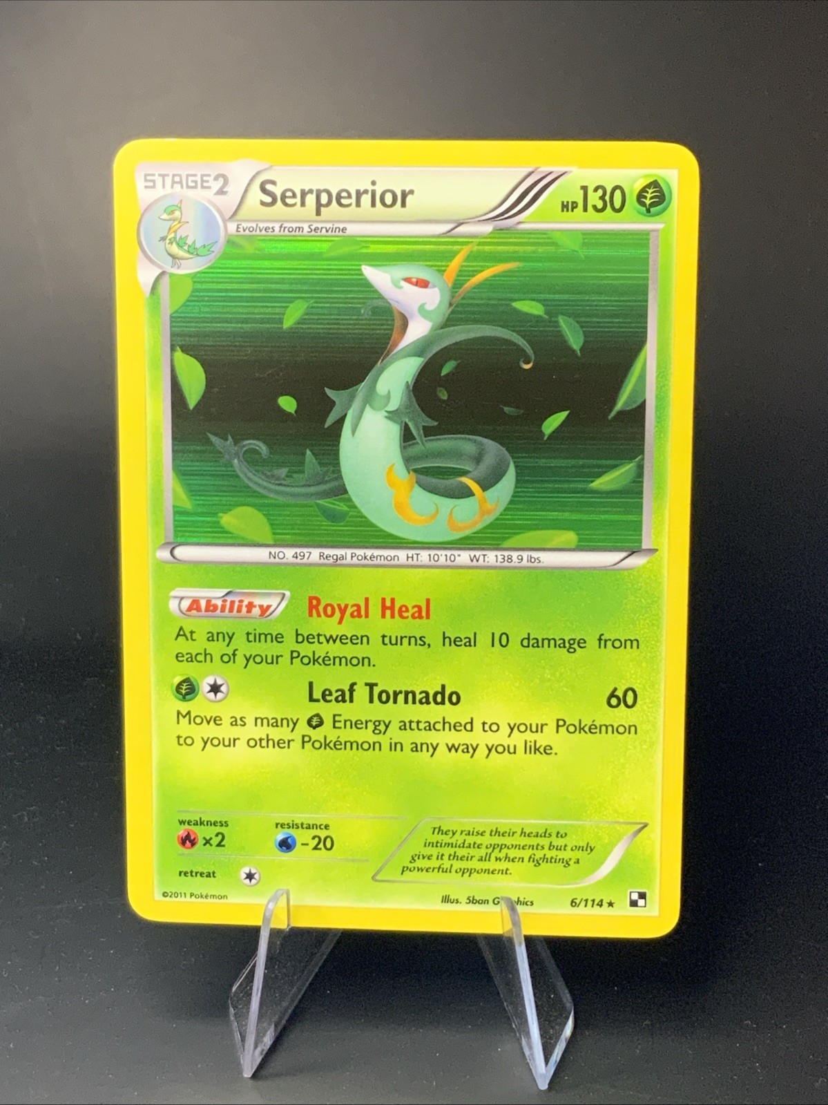 Serperior 6/114 Rare Holo Pokémon Card - Black & White Base set - 2011 - NM
