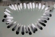 32 Taubenfedern zum basteln In