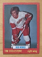 Tim Ecclestone 1973-74 Topps Hockey #124 Detroit Red Wings EX-NM