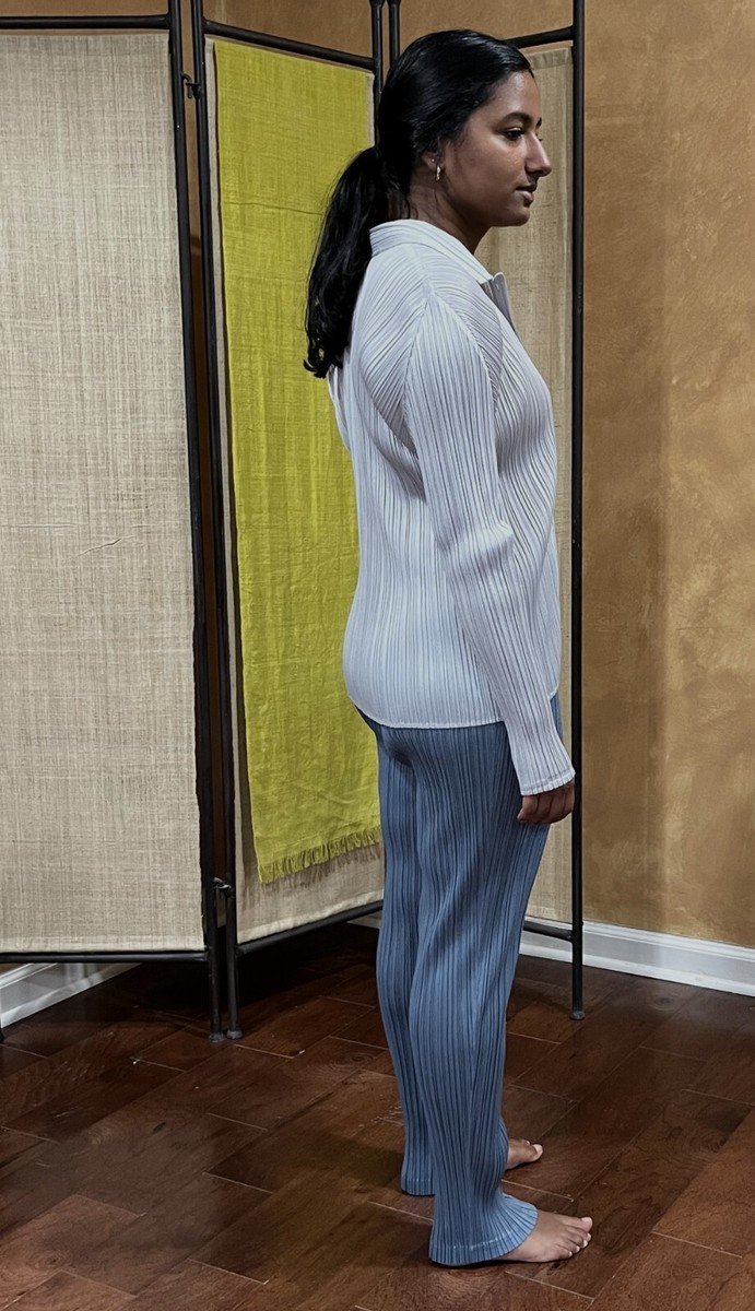 PLEATS PLEASE ISSEY MIYAKE SS20 MC MARCH PANT | eBay