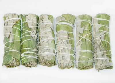 Sage Smudge Sticks 4'' Eucalyptus Bulk Wholesale Energy Cleansing