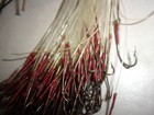Photo 9/9