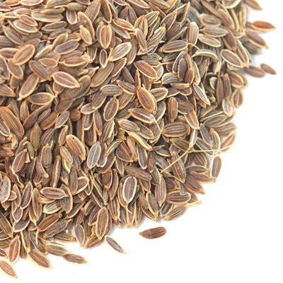 Dill Seed, Indian | Bulk | Spice Jungle