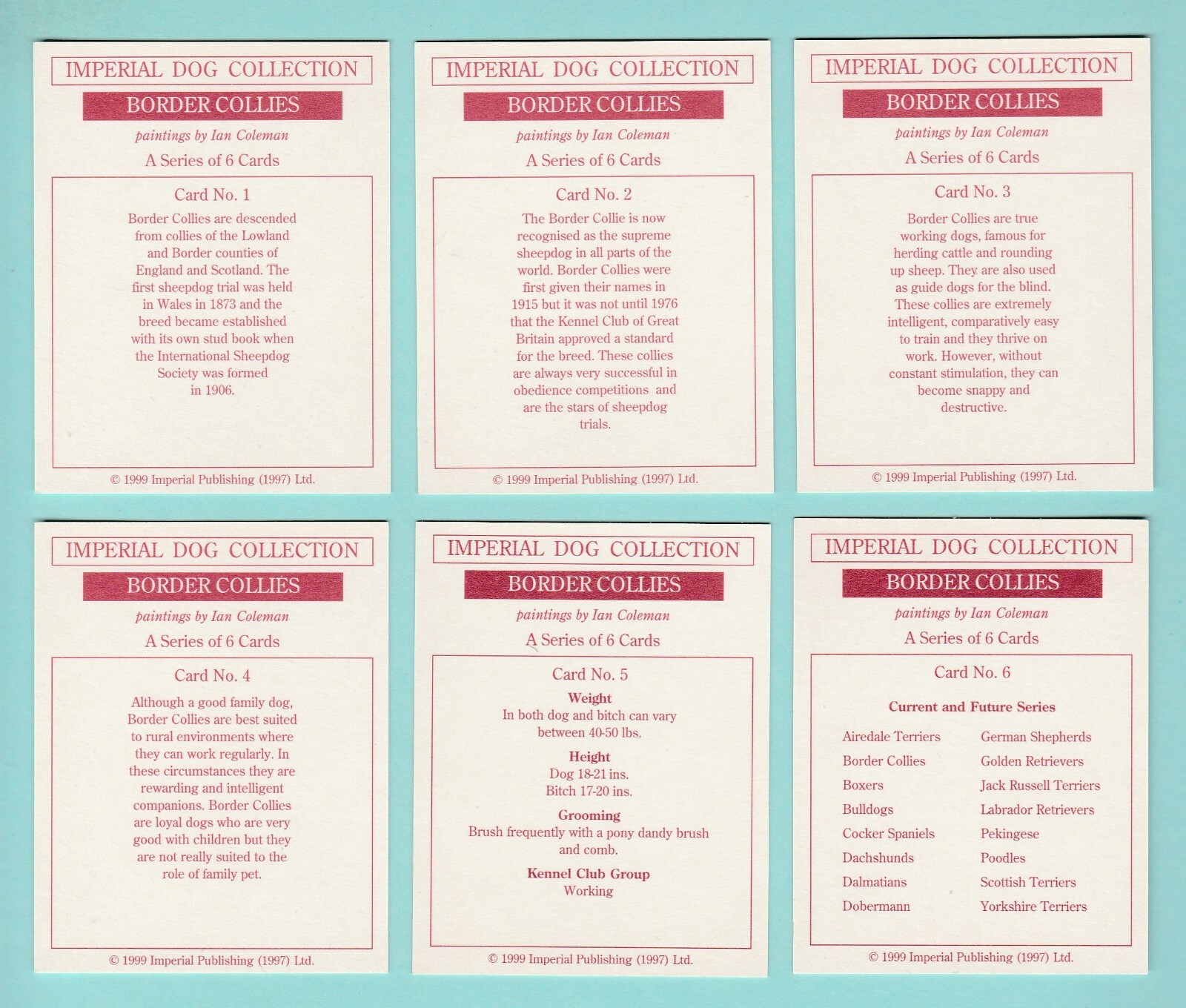 DOGS - BORDER COLLIES - SET OF L6 CARDS - IMP. PUBLISHING LTD. - 1999 - Picture 2 of 2