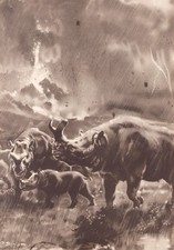 BRONTOTHERIUM Prehistoric N American Sepia Print By Z Burian 1963 VF Clean 8x12"