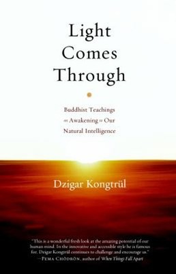 Light Comes Through: Buddhistische Teachings On Awakening To Our Natu