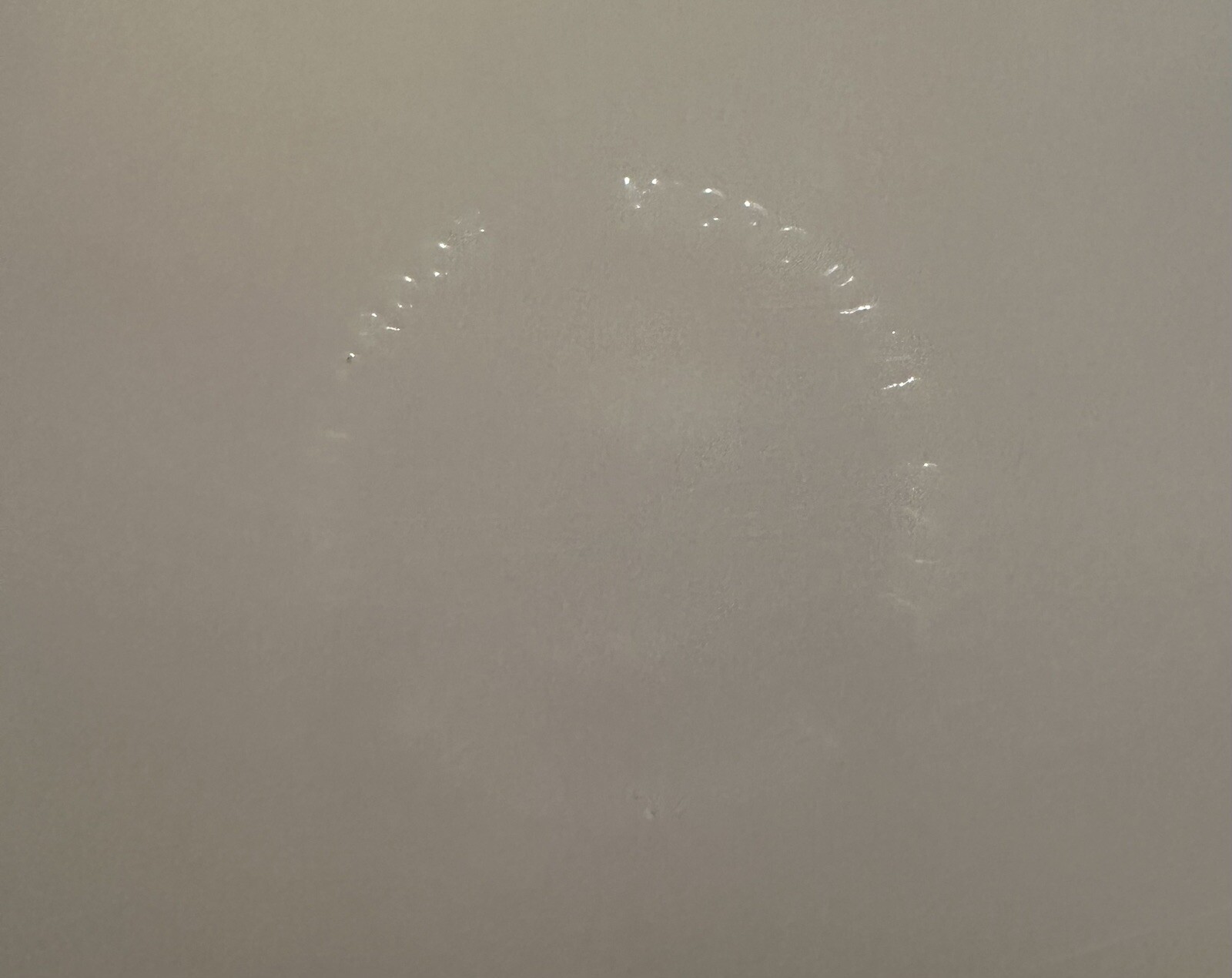 Picture 5 of 6