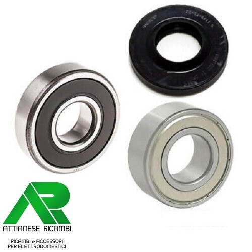 KIT ANELLO TENUTA E CUSCINETTI PER LAVATRICE 113ZN15 + S6204ZZ + BRG126UN