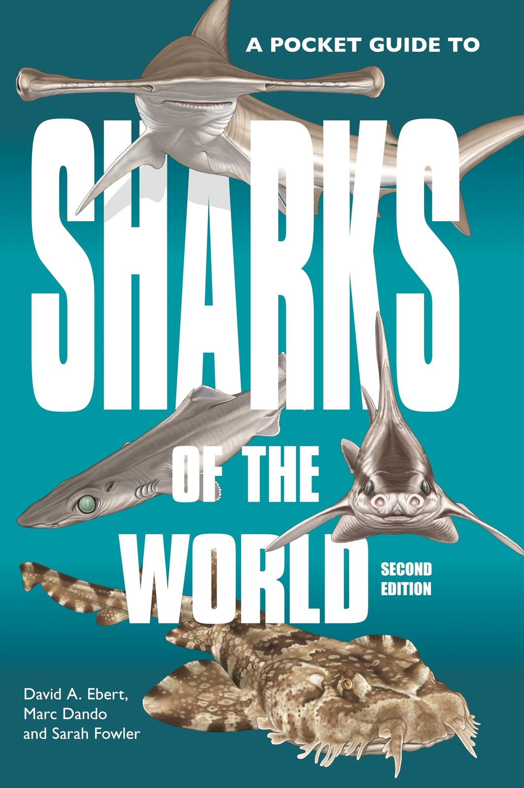 A Pocket Guide to Sharks of the World by David A. Ebert, Marc... - - Image 7