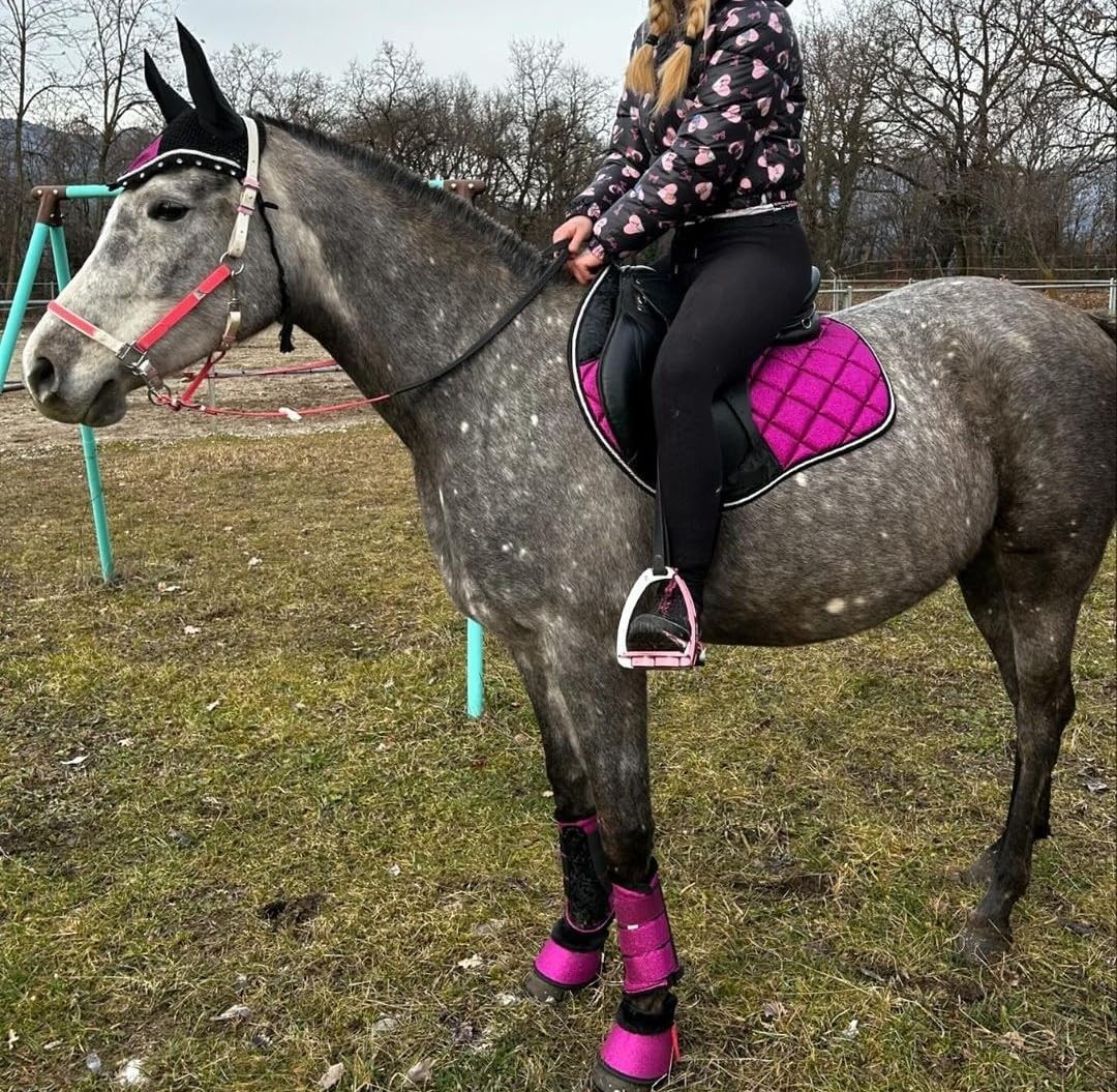 Euro Horse Matchy Jumping Saddle Pad Set, Ear Net/Brushing Boots/Bell Boots