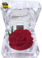 Preserved Rose Real Forever Rose in Mini Clear Ring Box, Eternal Flower Rose Gif