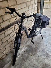 Ebike Herren Flyer Gotour 5 2019