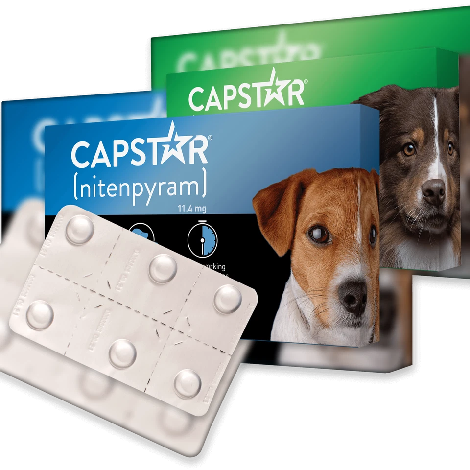 Capstar Dog Cat Flea Tablets Treatment Kills Fleas Fast 11mg 57mg - 1 or 6 Pack