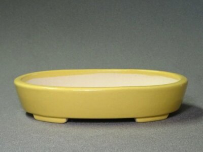 Japanese Bonsai Pot Tokoname AIBA KOYO 7.7''(19.5cm) Yellow Glazed Oval G585
