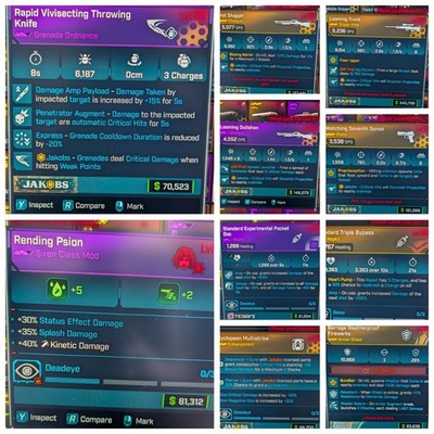 Borderlands 4 -  LVL 50 Vex Bloodletter Build - 10 Items- PS4/Xbox/ PC