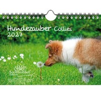 Hundezauber Collies Din A5 Kalender FüR 2027 Welpen Und Hunde - Seelenzauber