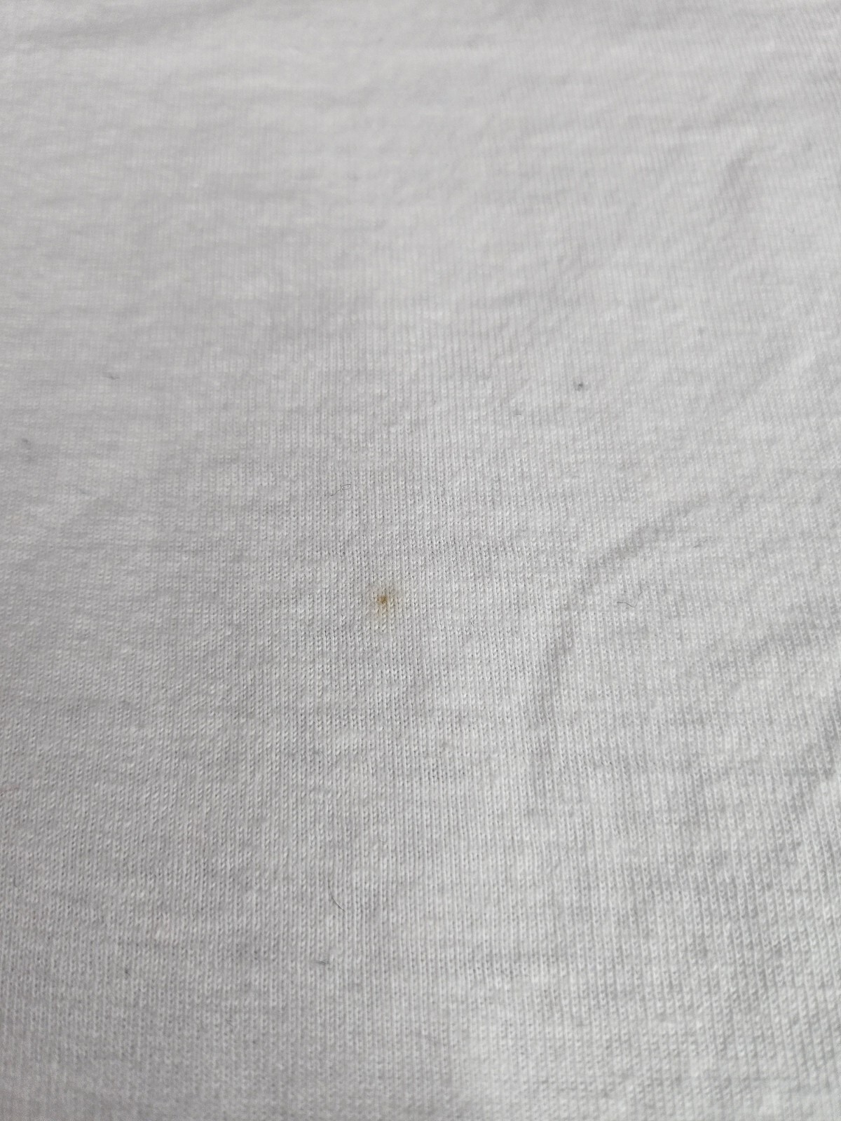 Champion T-Shirt Boys Youth (S Short Sleeve Authentic Athleticwear Graphic White image 3