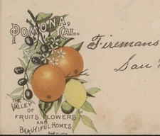 CALIFORNIA - REAL ESTATE - FRUITS - FLOWERS - 1897 POMONA Cover MULTICOLOR AD !!