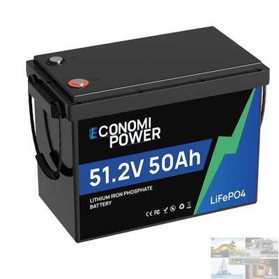 2560Wh 48V 50Ah LiFePO4 Battery with 50A BMS for Home Solar Off-Grid Golf Cart