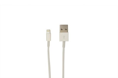 Lightning to USB White .25 Meter Cable - 900779