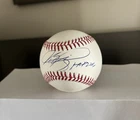 🔥🔥Mike Piazza Autographed Baseball With HOF Inscription Beckett L16022