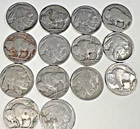 14 - 1930’s Buffalo Nickels, Circulated