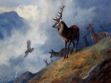 RED DEER WATCHING A. Thorburn birds Tile Mural Kitchen Backsplash Ceramic 10x8