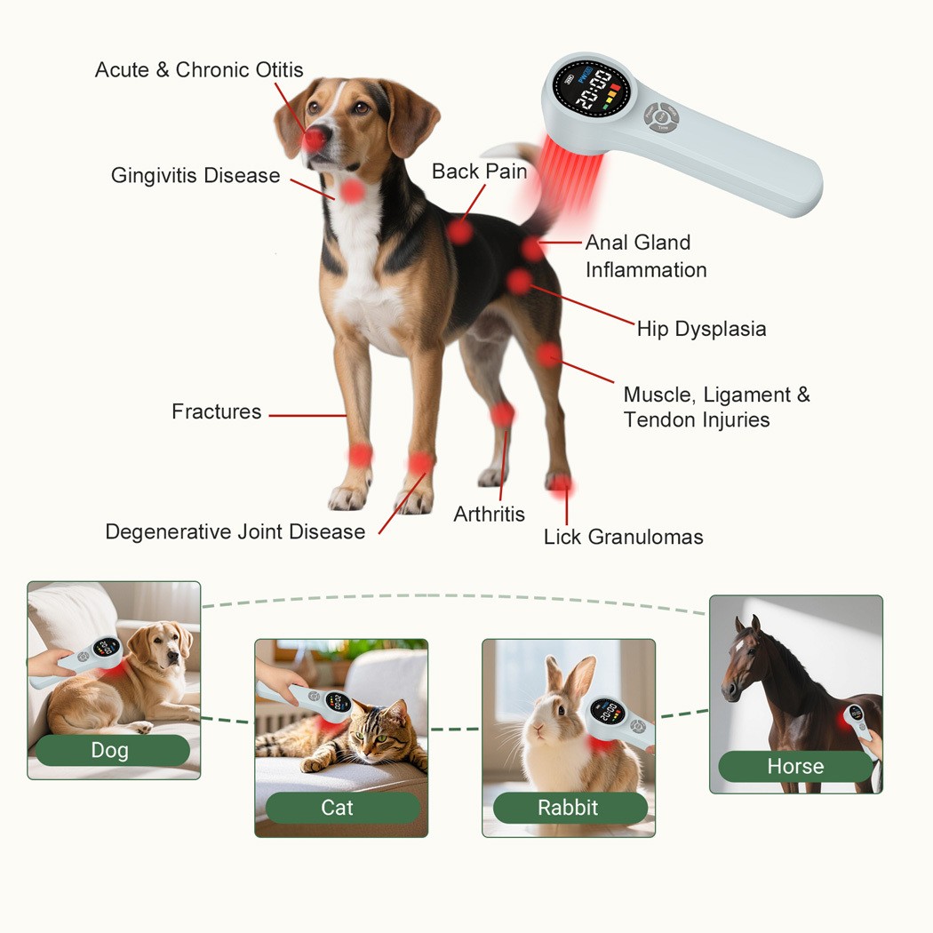 Infrared Red Light Laser Therapy for Wound Healing Pain Relief and Tissue Repair