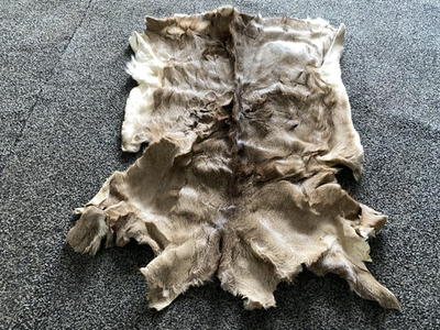 #ad #ad Large Whitetail Deer Hide Pelt Deerskin Rug Professional Tanned Hair On Leather $117.57