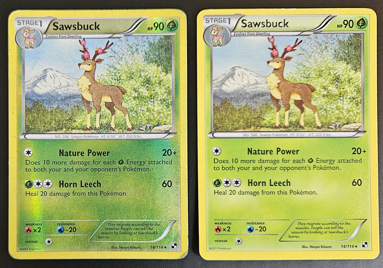 Sawsbuck 14/114 x2 Non Holo Reverse Holo Black & White Base Set Pokemon HP/DMG