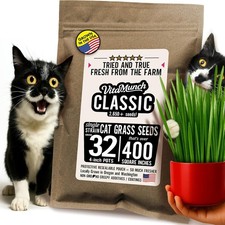 Cat Grass Seed Classic Non-GMO Wheatgrass Grows 32 Pots Over 400 Sq in Ready in