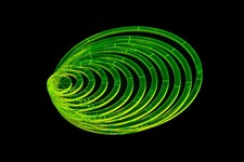 Precision Quilt Wonders - Circle Template Set