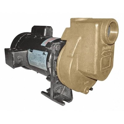 Dayton 2Zxp9 Self Priming Centrifugal Pump, 3/4 Hp, 115/208 To 230V Ac, 1