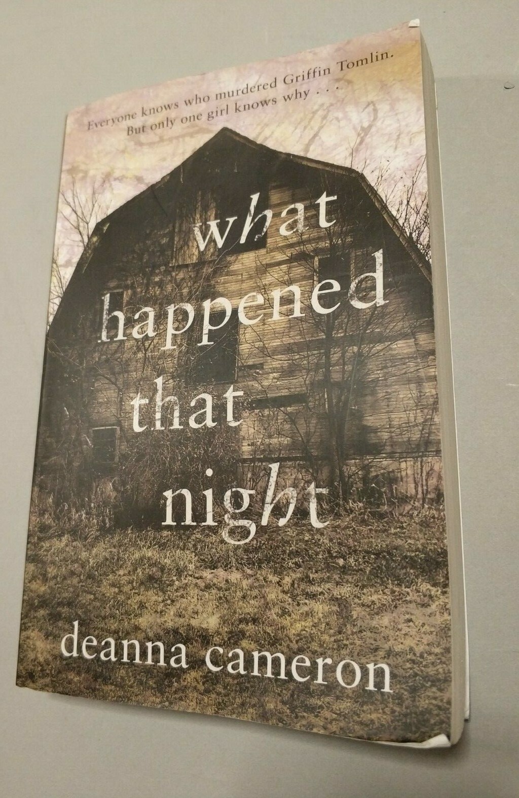 Deanna Cameron What Happened That Night