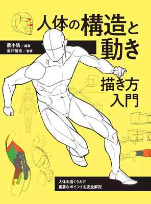 Introduction To How To Draw The Structure And Movement Of The Human Body Japan