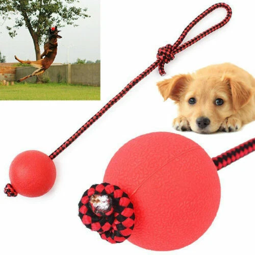 Giochi palle per cani