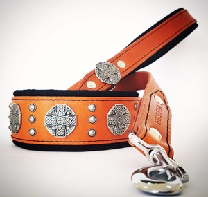 maximus dog collar