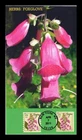 DR JIM STAMPS US COVER FOXGLOVE HERBS FIRST DAY ISSUE COMBO ALL OVER BGC