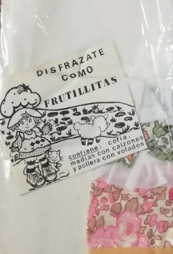 DISFRAZ COMPLETO VINTAGE RARO PASTEL DE FRESA ARGENTINA TALLA 7/9 AÑOS SIN USAR, EN CAJA - Imagen 2 de 9